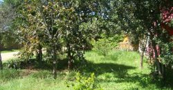 Casa em condominio country club  parada 87 aguas claras