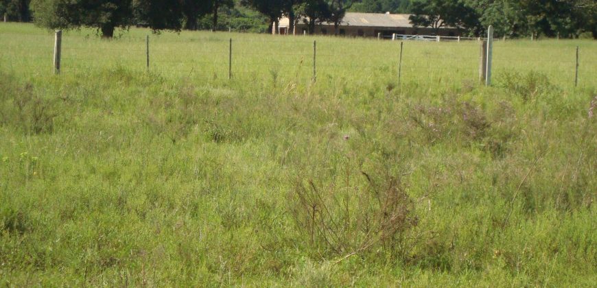 terreno fora de condominio
