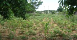 terreno fora de condominio parada 108 boa vista