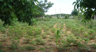terreno fora de condominio parada 108 boa vista