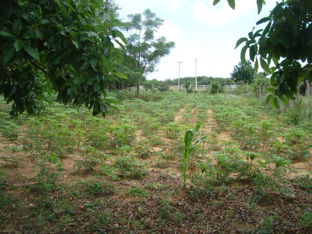 terreno fora de condominio parada 108 boa vista