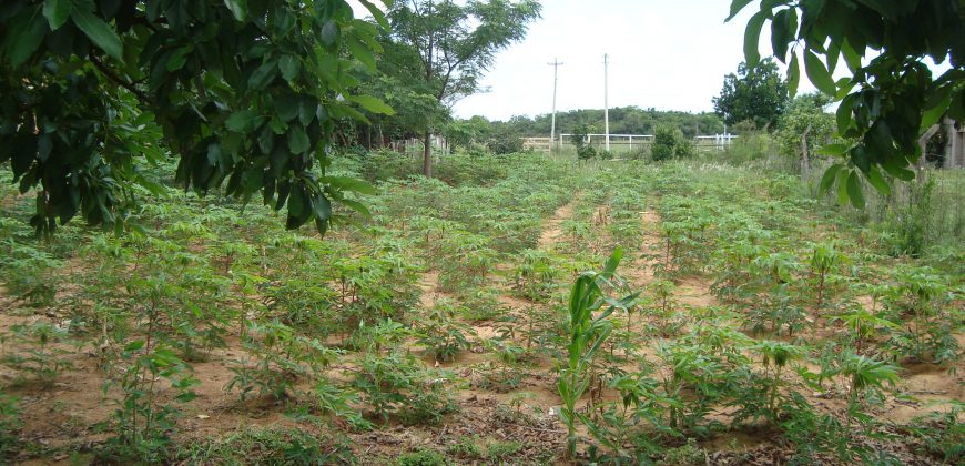 terreno fora de condominio parada 108 boa vista