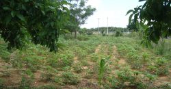 terreno fora de condominio parada 108 boa vista