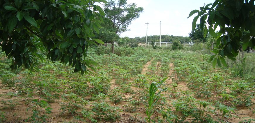 terreno fora de condominio parada 108 boa vista