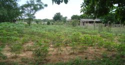 terreno fora de condominio parada 108 boa vista