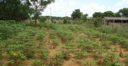 terreno fora de condominio parada 108 boa vista