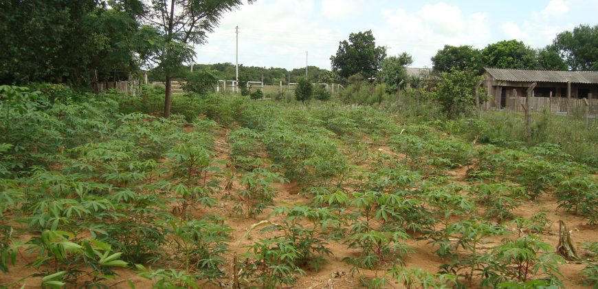 terreno fora de condominio parada 108 boa vista