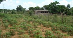 terreno fora de condominio parada 108 boa vista