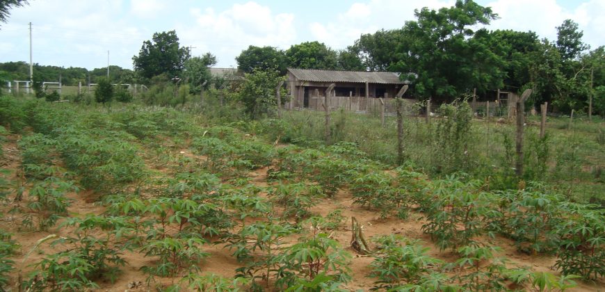 terreno fora de condominio parada 108 boa vista