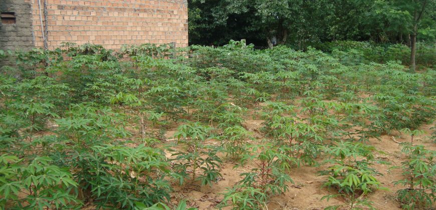terreno fora de condominio parada 108 boa vista