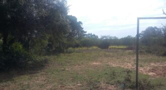 terreno   rancho do sol  aguas claras  viamão