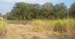 terreno   rancho do sol  aguas claras  viamão