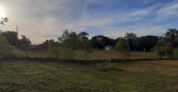 terreno beco do pacheco parada 83 aguas claras viamão