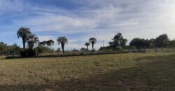 terreno beco do pacheco parada 83 aguas claras viamão