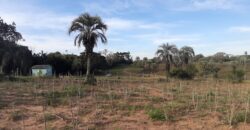 terreno beco do pacheco parada 83 aguas claras viamão