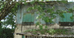 terreno c/ prédio comercial centro de viamão