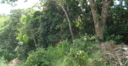 terreno c/ prédio comercial centro de viamão