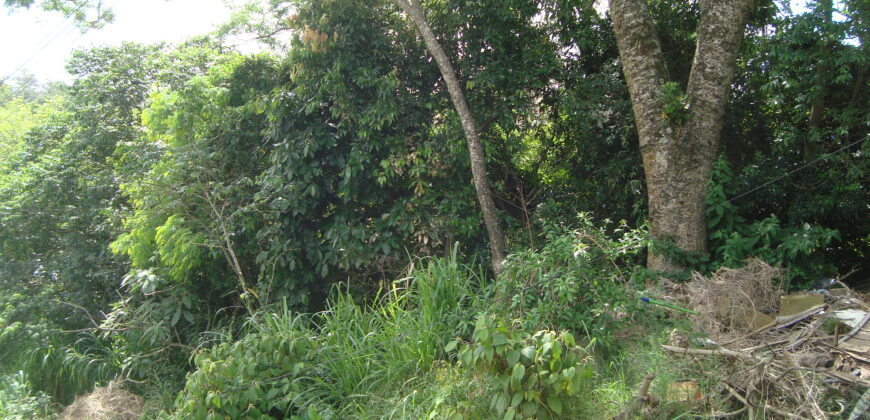 terreno c/ prédio comercial centro de viamão