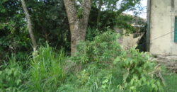 terreno c/ prédio comercial centro de viamão
