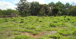 terreno parada 91 aguas claras viamão