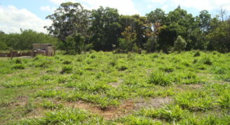 terreno parada 91 aguas claras viamão