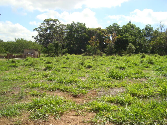 terreno parada 91 aguas claras viamão