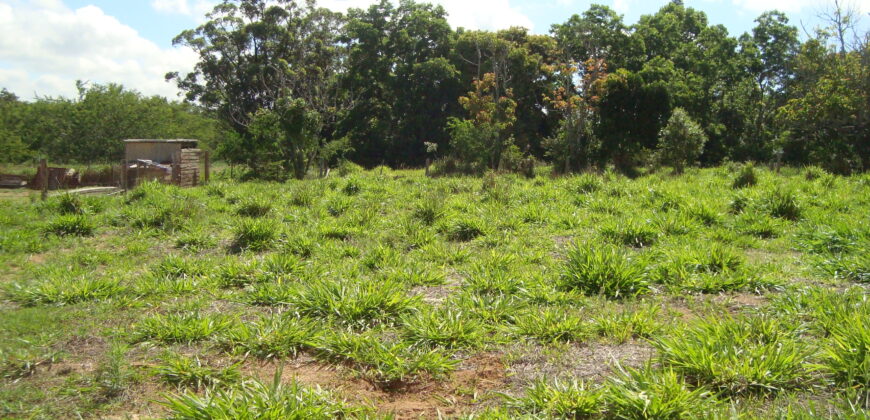 terreno parada 91 aguas claras viamão
