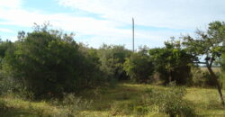 2  hectares  2,8 km da  faixa da brama