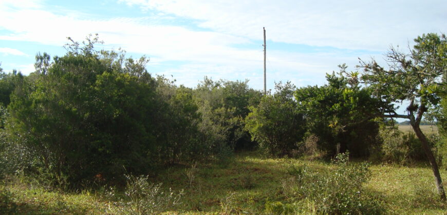 2  hectares  2,8 km da  faixa da brama