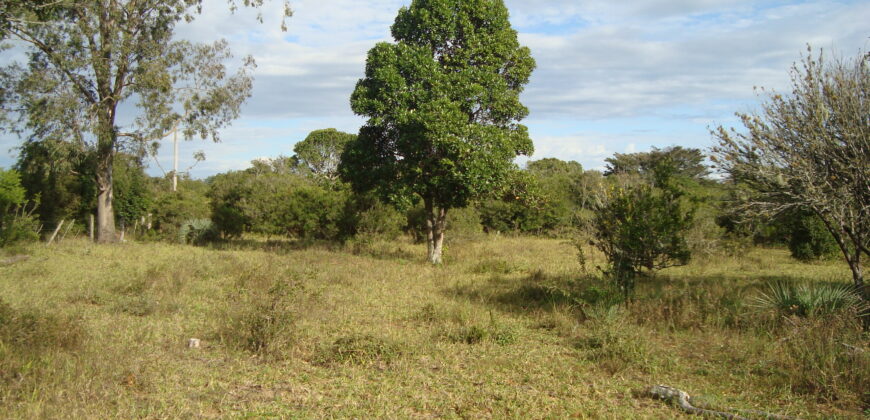 2  hectares  2,8 km da  faixa da brama