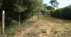 2  hectares  2,8 km da  faixa da brama