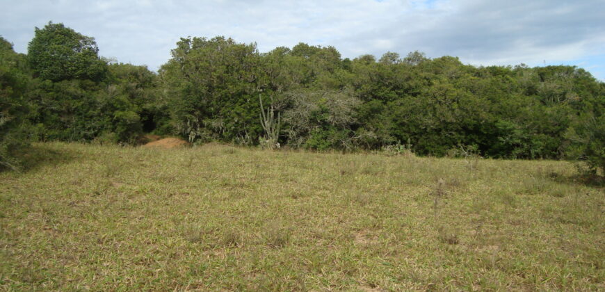 2  hectares  2,8 km da  faixa da brama
