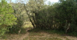 2  hectares  2,8 km da  faixa da brama