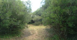 2  hectares  2,8 km da  faixa da brama
