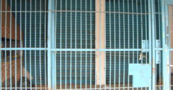 ponto comercial porto alegre passo das pedras