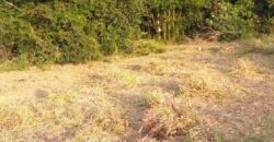 terreno parada 104 aguas claras