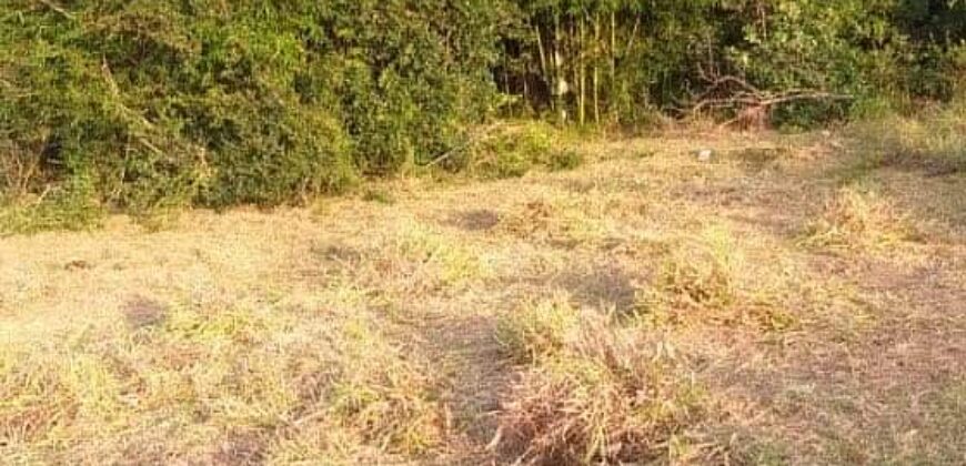 terreno parada 104 aguas claras