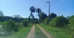 terreno 1000 m2 parada 90 aguas claras