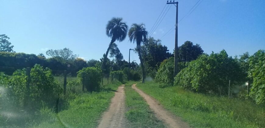 terreno 1000 m2 parada 90 aguas claras
