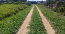 terreno 1000 m2 parada 90 aguas claras