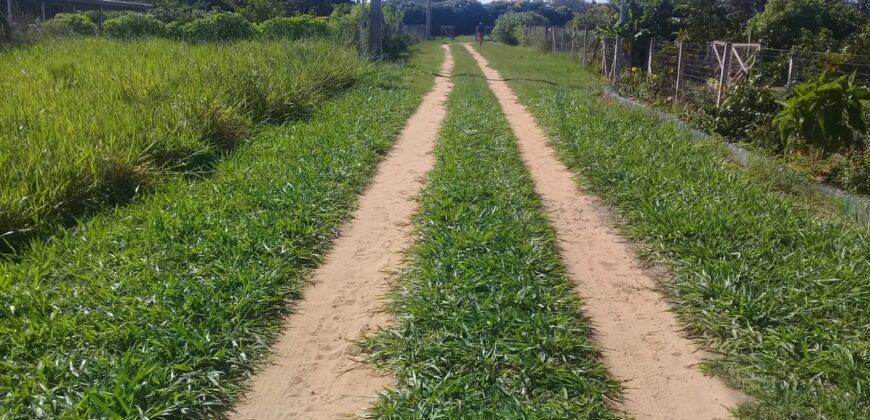 terreno 1000 m2 parada 90 aguas claras