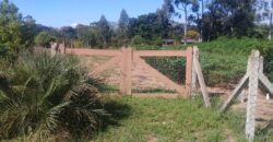 terreno 1000 m2 parada 90 aguas claras