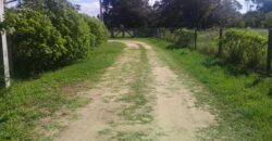 terreno 1000 m2 parada 90 aguas claras