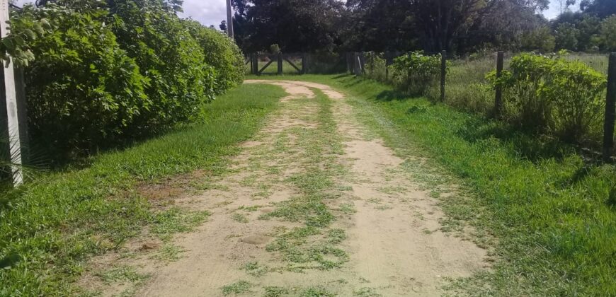 terreno 1000 m2 parada 90 aguas claras