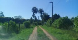 terreno 1000 m2 parada 90 aguas claras