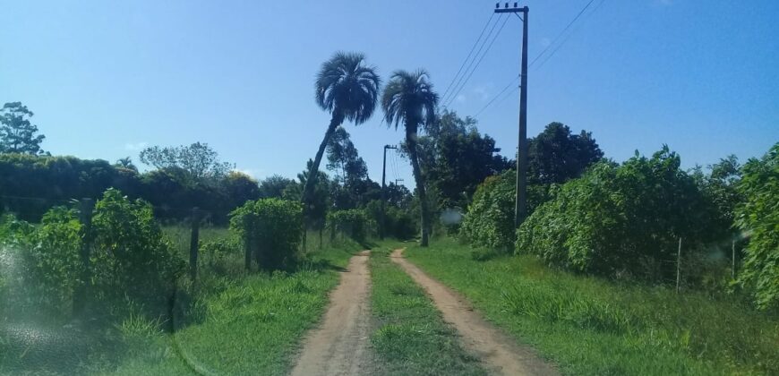 terreno 1000 m2 parada 90 aguas claras