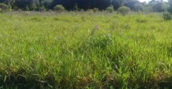 terreno 1000 m2 parada 90 aguas claras