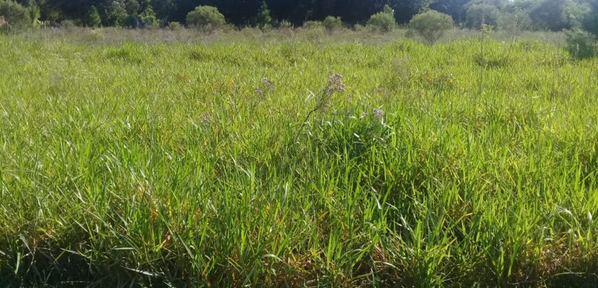 terreno 1000 m2 parada 90 aguas claras