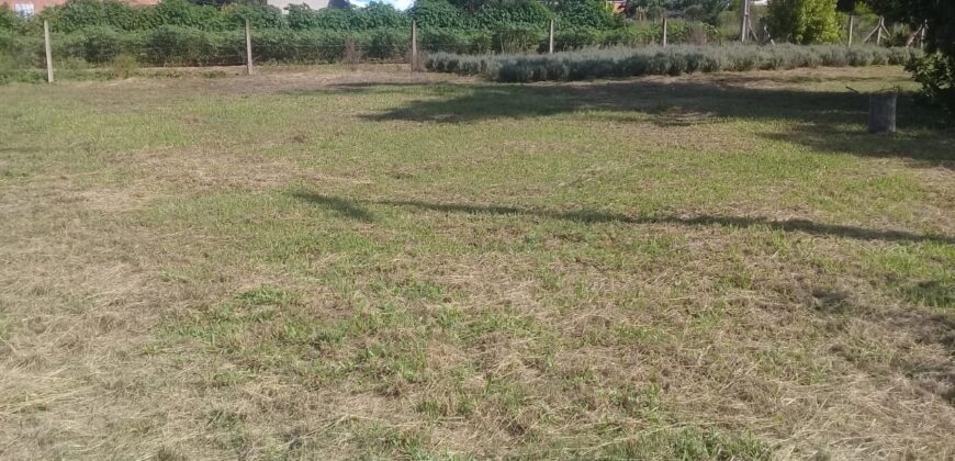terreno 1000 m2 parada 90 aguas claras