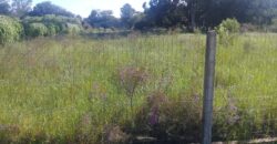 terreno 1000 m2 parada 90 aguas claras